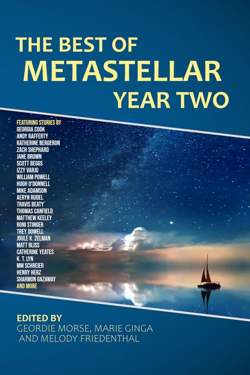 Produktbild: The Best of MetaStellar Year Two