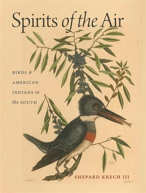Produktbild: Spirits of the Air