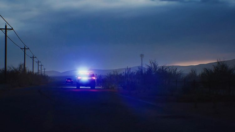 Produktbild: Highway Police Simulator