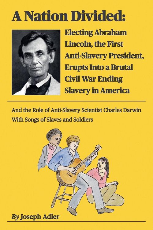 Produktbild: A Nation Divided