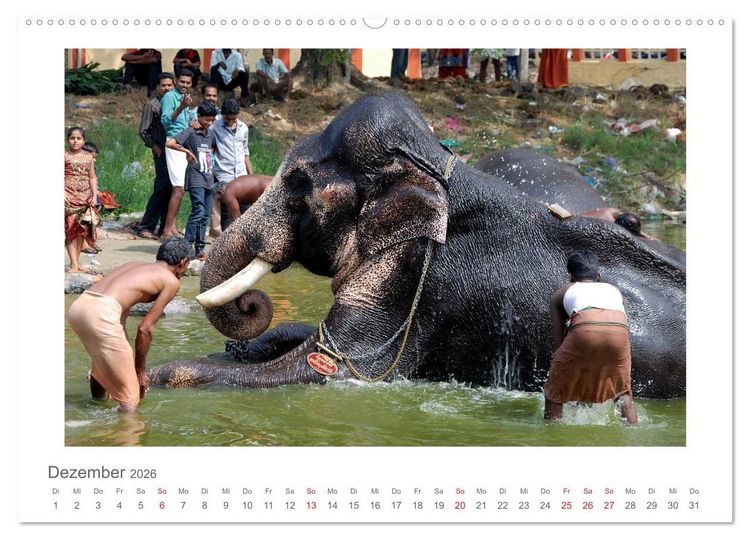 Produktbild: Farbenfrohes Kerala - Eindr&uuml;cke aus God&acute;s Own Country (Wandkalender 2026 DIN A2 quer), CALVENDO Monatskalender
