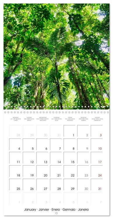 Produktbild: Guadeloupe - Une &icirc;le color&eacute;e des Cara&iuml;bes (Calendrier mural carr&eacute; 2027 30x30 cm) Calendrier double avec une page pour vos prises de notes
