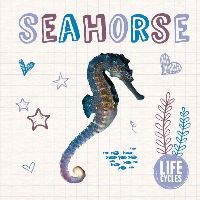 Produktbild: Seahorse