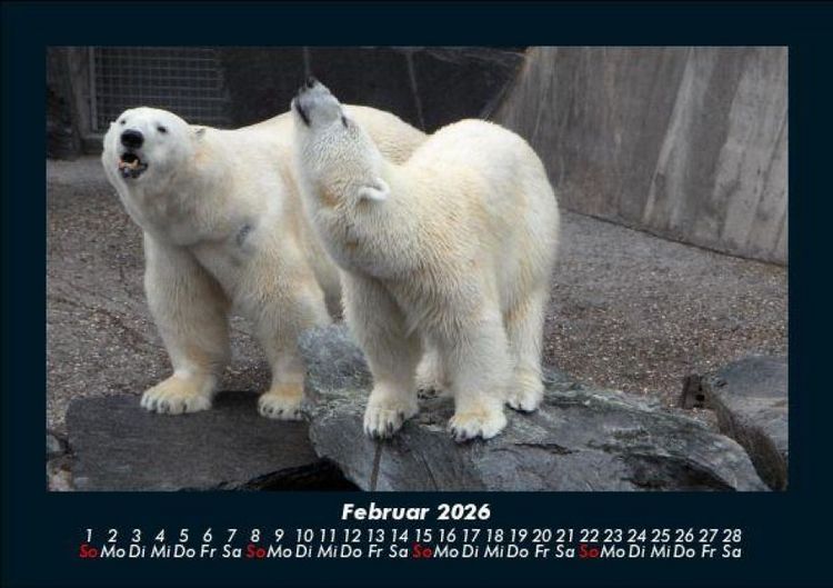 Produktbild: Tierkalender 2026 Fotokalender DIN A5