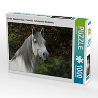 Produktbild: CALVENDO Puzzle Berber Raisulih el Hadi - F&uuml;rstliche Hofreitschule B&uuml;ckeburg | 1000 Teile Lege-Gr&ouml;&szlig;e 64x48cm Foto-Puzzle f&uuml;r gl&uuml;ckliche Stunden
