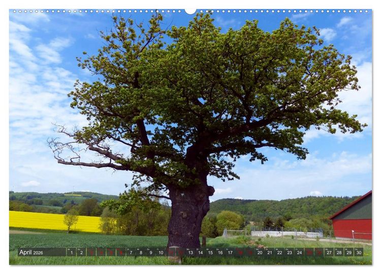 Produktbild: Flecken Aerzen (hochwertiger Premium Wandkalender 2026 DIN A2 quer), Kunstdruck in Hochglanz