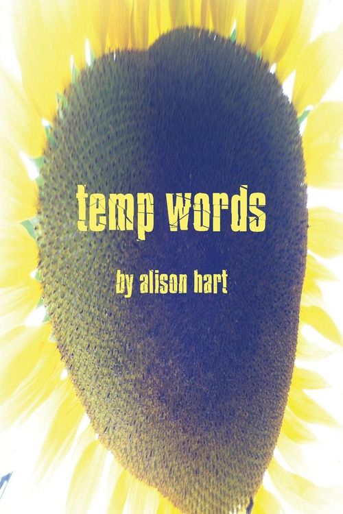 Produktbild: Temp words