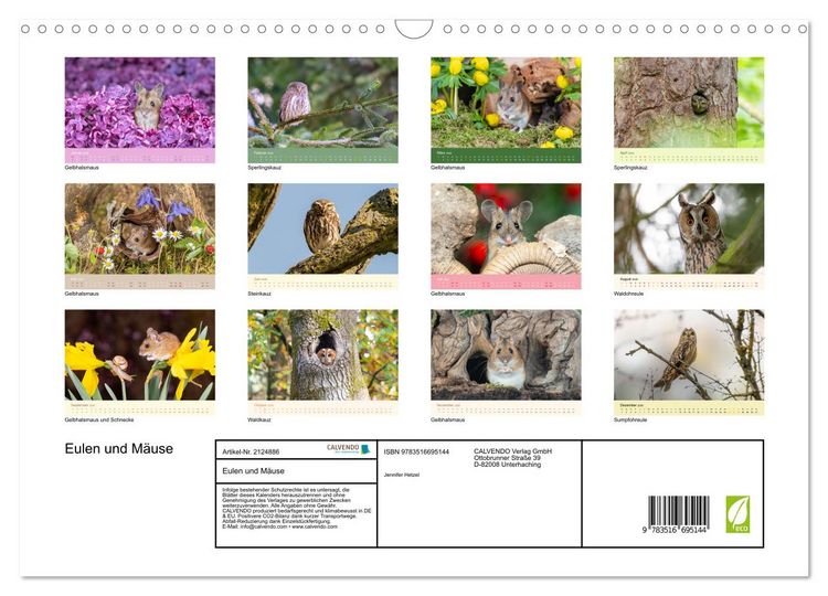 Produktbild: Eulen und M&auml;use (Wandkalender 2026 DIN A3 quer), CALVENDO Monatskalender