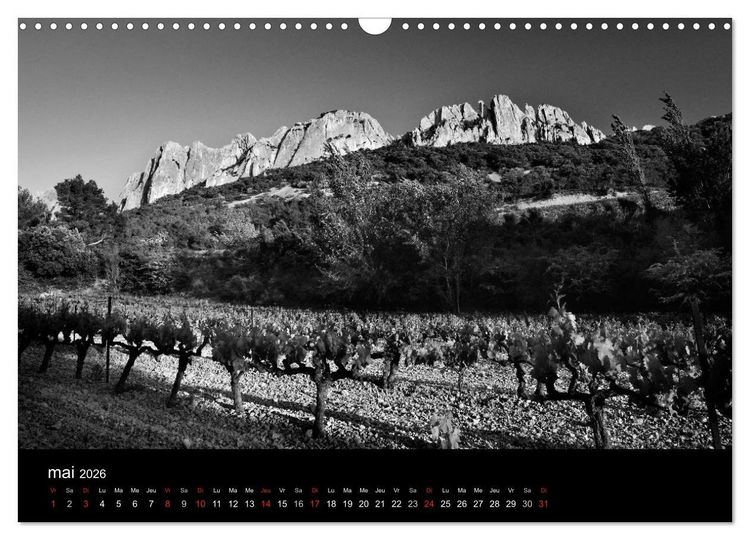 Produktbild: VIGNES DU SUD terroirs d'AOC (Calendrier mural 2026 DIN A3 vertical), CALVENDO calendrier mensuel