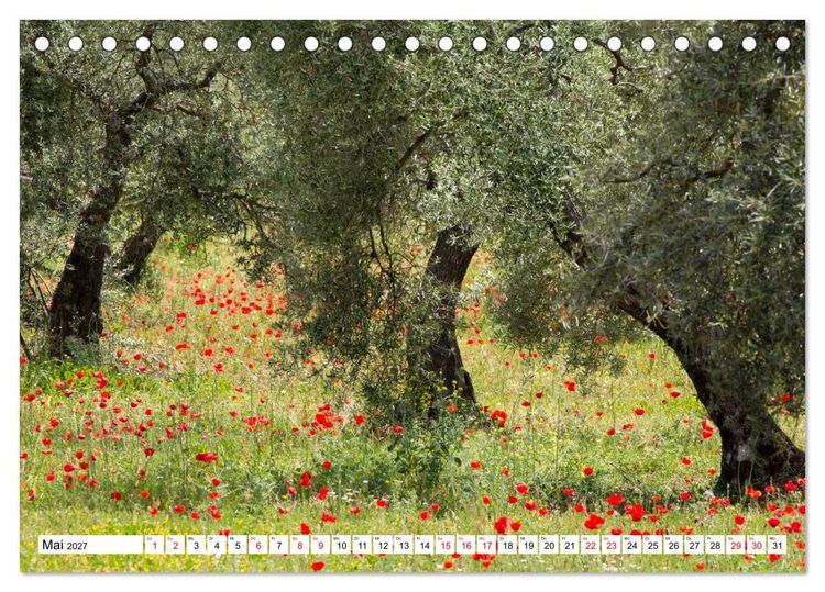 Produktbild: Momente einer Reise - Andalusien (Tischkalender 2027 DIN A5 quer), CALVENDO Monatskalender