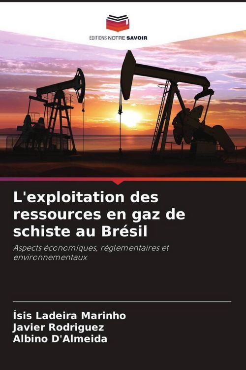 Produktbild: L'exploitation des ressources en gaz de schiste au Br&eacute;sil