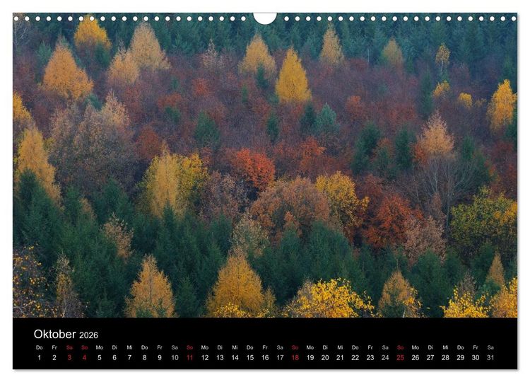 Produktbild: B&auml;ume (Wandkalender 2026 DIN A3 quer), CALVENDO Monatskalender