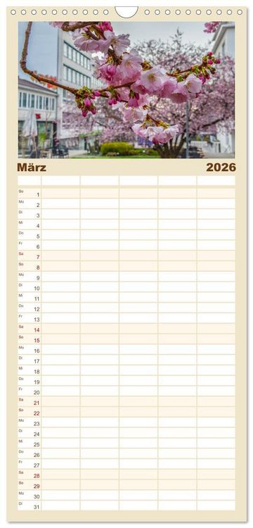 Produktbild: Familienplaner 2026 - Kassel begeistert mit 5 Spalten (Wandkalender, 21 x 45 cm) CALVENDO