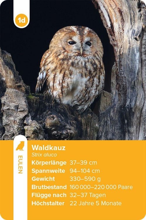 Produktbild: Einheimische Vogelarten &ndash; das Quartett-Spiel