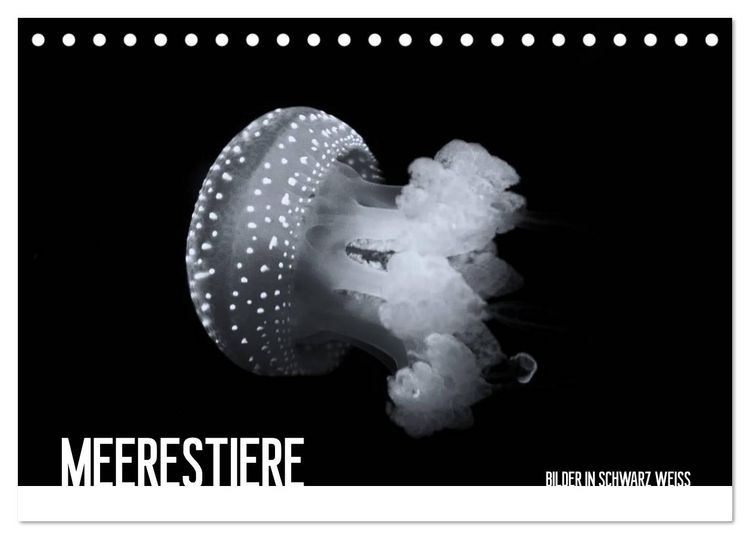 Produktbild: Meerestiere Bilder in Schwarz Weiss (Tischkalender 2026 DIN A5 quer), CALVENDO Monatskalender