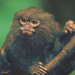 Produktbild: Land