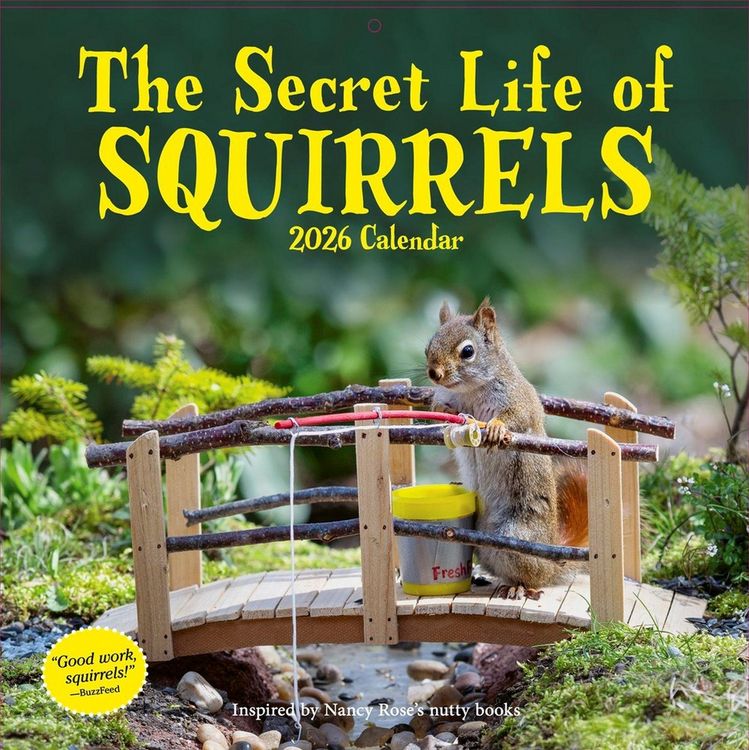 Produktbild: Secret Life of Squirrels Wall Calendar 2026