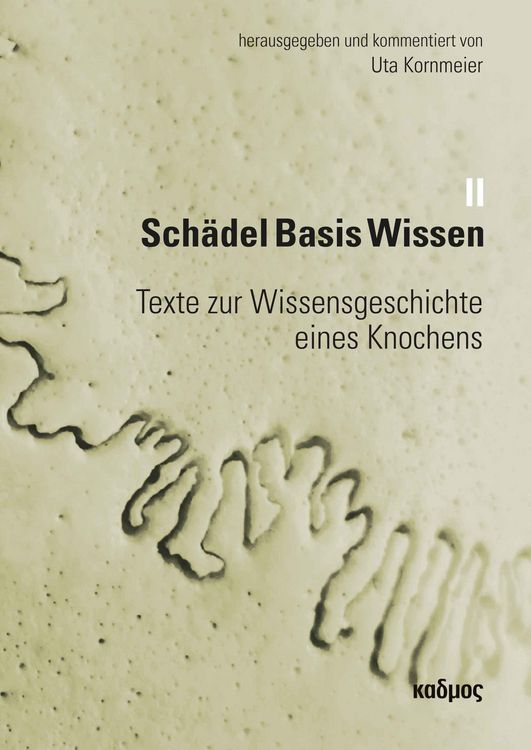 Produktbild: Sch&auml;del Basis Wissen II