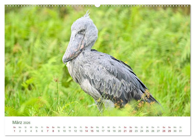 Produktbild: Tierwelten UGANDA (Wandkalender 2026 DIN A2 quer), CALVENDO Monatskalender