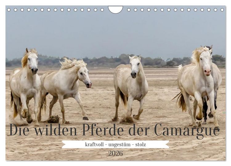 Produktbild: Die wilden Pferde der Camargue (Wandkalender 2026 DIN A4 quer), CALVENDO Monatskalender