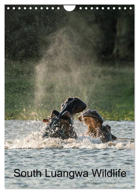 Produktbild: South Luangwa Wildlife (Wall Calendar 2026 DIN A4 portrait), CALVENDO 12 Month Wall Calendar