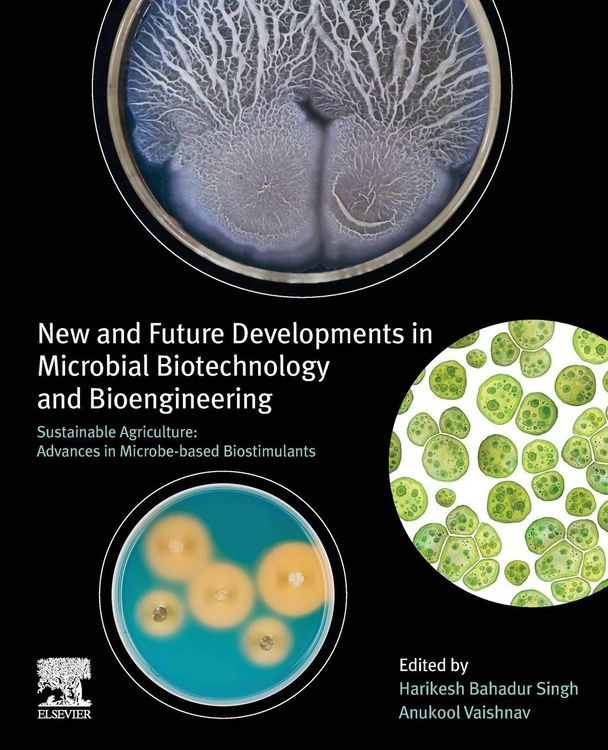 Produktbild: New and Future Developments in Microbial Biotechnology and Bioengineering