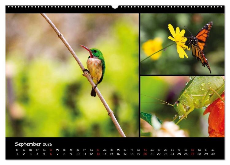 Produktbild: Dominikanische Republik Land & Leute (Wandkalender 2026 DIN A2 quer), CALVENDO Monatskalender