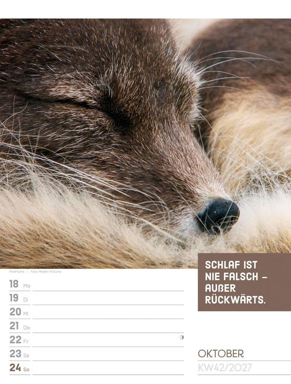 Produktbild: Tierisch Spr&uuml;chekalender Wochenplaner 2027