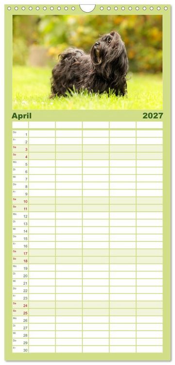 Produktbild: Familienplaner 2027 - Havaneser - Wirbelwinde aus Kuba mit 5 Spalten (Wandkalender, 21 x 45 cm) CALVENDO