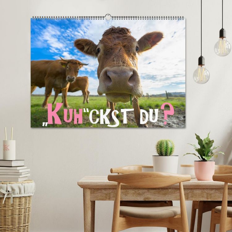 Produktbild: Kuhckst du? (Wandkalender 2026 DIN A2 quer), CALVENDO Monatskalender