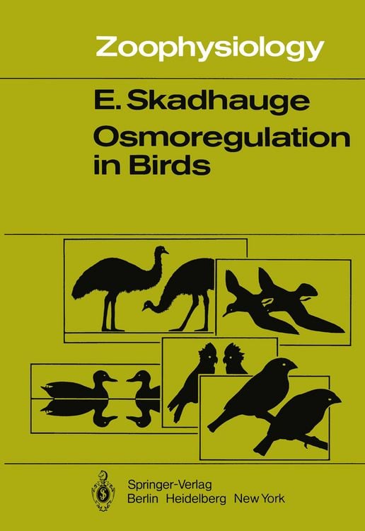 Produktbild: Osmoregulation in Birds
