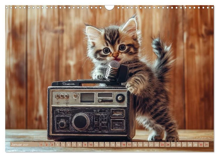 Produktbild: Miau-sikalische Momente (Wandkalender 2027 DIN A3 quer), CALVENDO Monatskalender