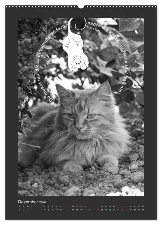 Produktbild: Katz & Maus (Wandkalender 2026 DIN A2 hoch), CALVENDO Monatskalender