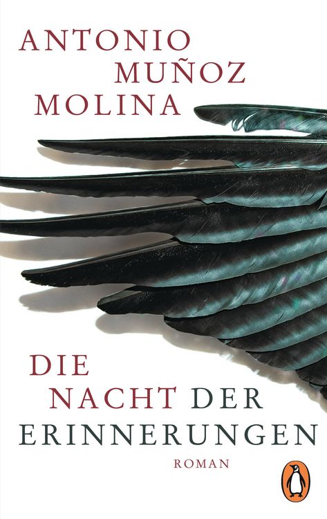 Produktbild: Die Nacht der Erinnerungen