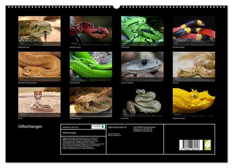 Produktbild: Giftschlangen (hochwertiger Premium Wandkalender 2026 DIN A2 quer), Kunstdruck in Hochglanz