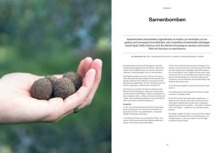 Produktbild: 365 Tage Natur: f&uuml;hlen, schmecken, entdecken