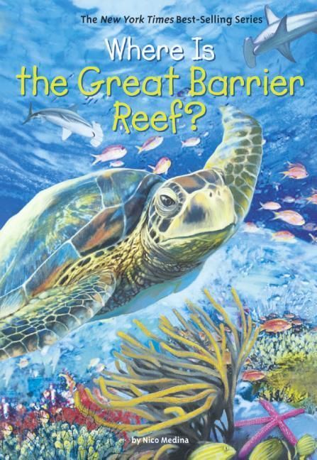 Produktbild: Where Is the Great Barrier Reef?