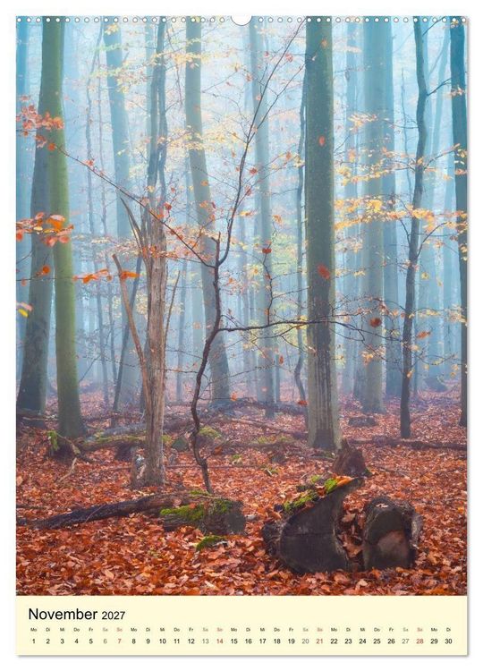 Produktbild: Der Harz - Malerische Orte (Wandkalender 2027 DIN A2 hoch), CALVENDO Monatskalender