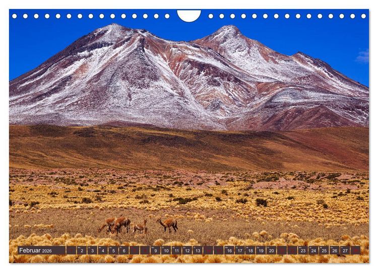 Produktbild: Atacama: Karge W&uuml;ste, m&auml;chtige Vulkane und farbenpr&auml;chtige Lagunen (Wandkalender 2026 DIN A4 quer), CALVENDO Monatskalender