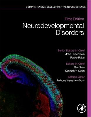 Produktbild: Neurodevelopmental Disorders