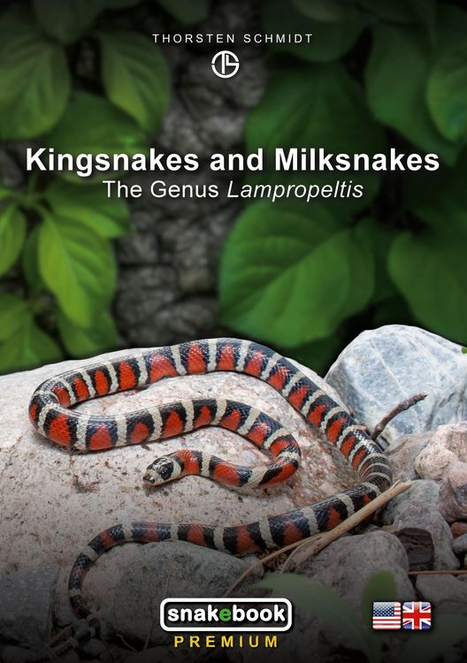 Produktbild: Kingsnakes and Milksnakes