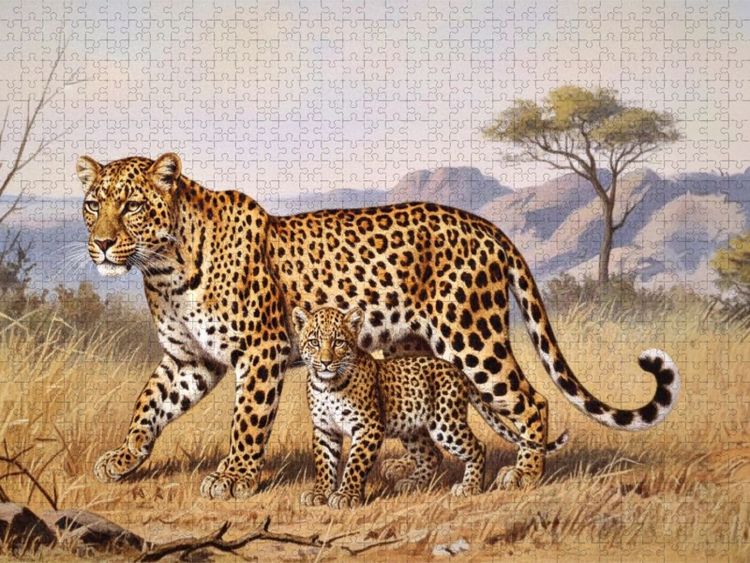 Produktbild: CALVENDO Puzzle Leopard mit Nachwuchs als Gem&auml;lde | 1000 Teile Lege-Gr&ouml;&szlig;e 64x48cm Foto-Puzzle f&uuml;r gl&uuml;ckliche Stunden