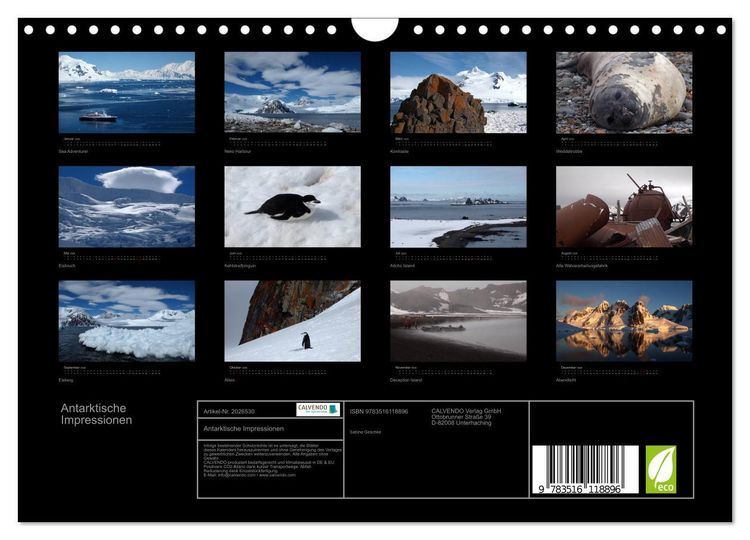 Produktbild: Antarktische Impressionen (Wandkalender 2026 DIN A4 quer), CALVENDO Monatskalender