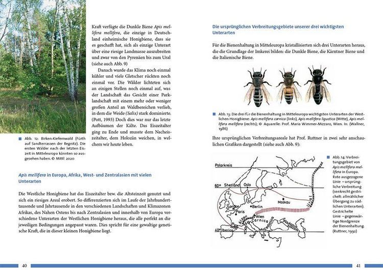 Produktbild: Nachhaltig Imkern mit gesunden Honigbienen
