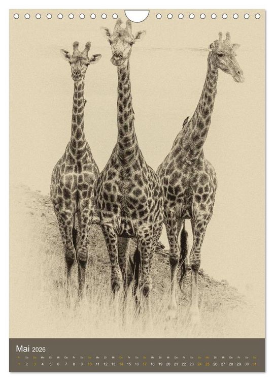 Produktbild: Afrikas Tierwelt - Sepia-Art (Wandkalender 2026 DIN A4 hoch), CALVENDO Monatskalender