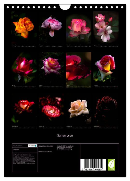 Produktbild: Gartenrosen (Wandkalender 2026 DIN A4 hoch), CALVENDO Monatskalender