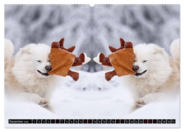 Produktbild: Mit doppelter Power durch das Jahr (hochwertiger Premium Wandkalender 2026 DIN A2 quer), Kunstdruck in Hochglanz