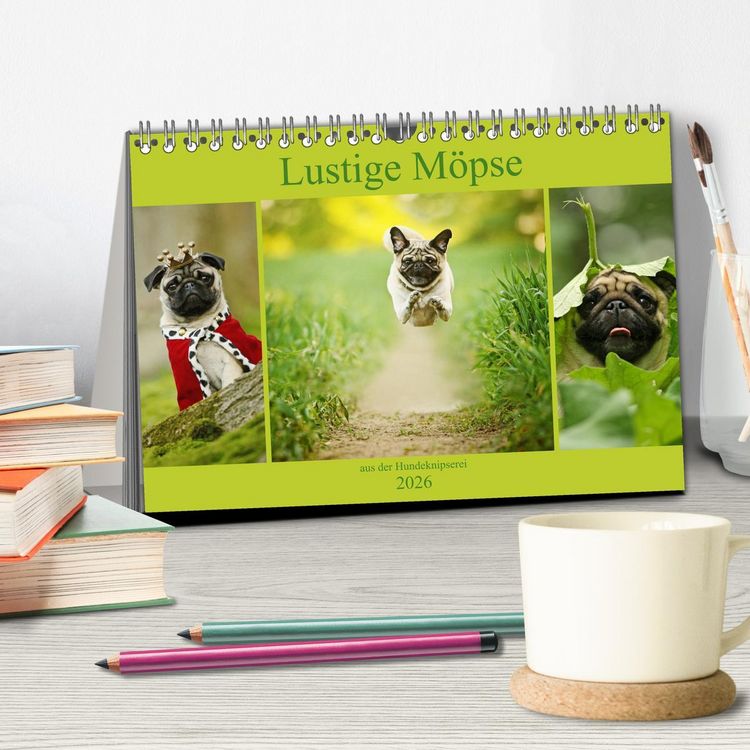Produktbild: Lustige M&ouml;pse aus der Hundeknipserei (Tischkalender 2026 DIN A5 quer), CALVENDO Monatskalender