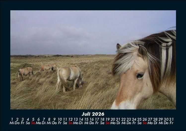 Produktbild: Die Welt der Pferde 2026 Fotokalender DIN A5