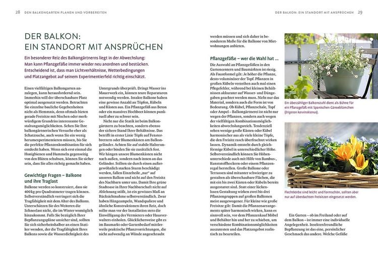 Produktbild: Biene sucht Balkon
